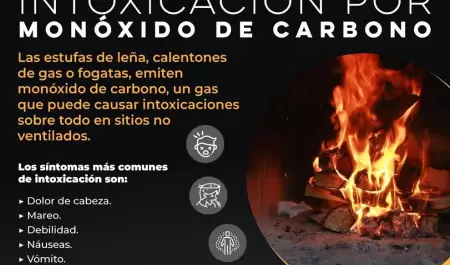 Riesgos de intoxicaci�n.