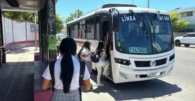 Transporte, camiones