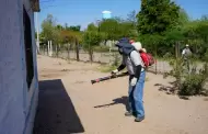 Salud refuerza vigilancia contra fiebre manchada en Sonora