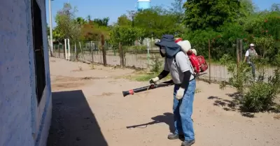 Prevenci�n de criaderos de garrapatas.