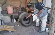 Llaman a cerrar el paso al dengue en Sonora