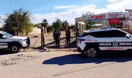 Real del Cardo, al norte de Hermosillo.