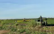 Se desploma avioneta fumigadora en Ahome, Sinaloa