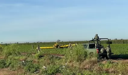 Cae avioneta fumigadora en Ahome, Sinaloa
