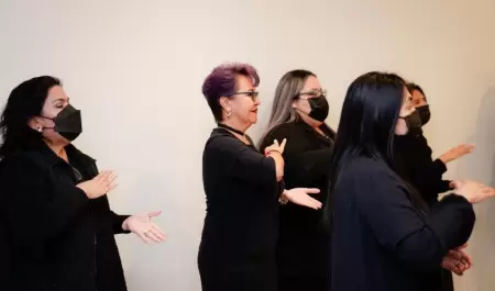 Lengua de Se�as Mexicana