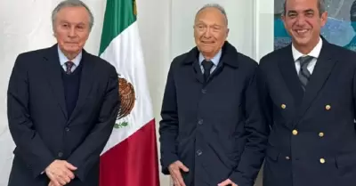 Alejandro Gertz Manero