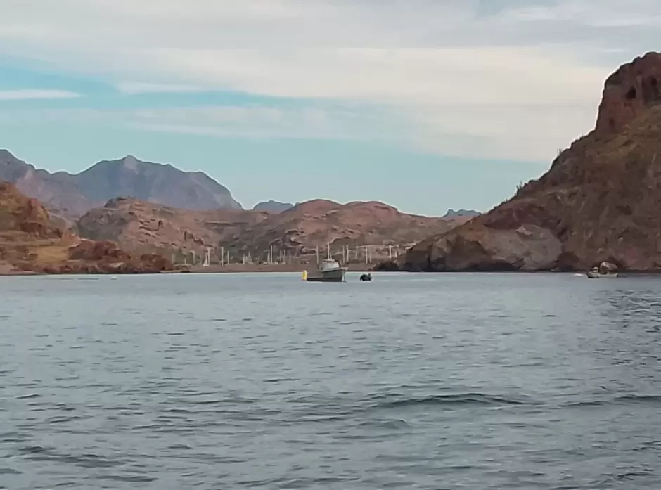 Hundimiento en sistema arrecifal