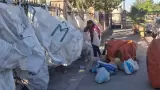 Jornada de reciclaje de la asociaci�n Ave Bad�