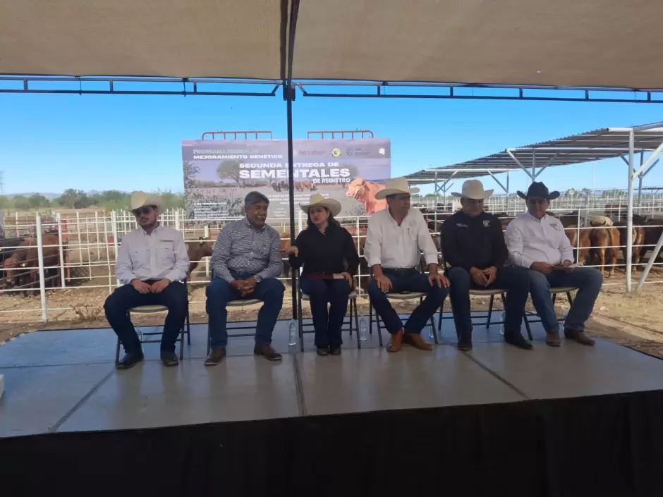 Entrega de sementales de registro