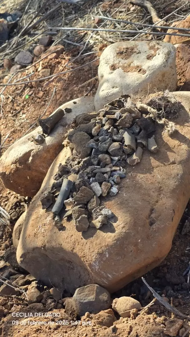 Buscadoras por la Paz localizan restos humanos.