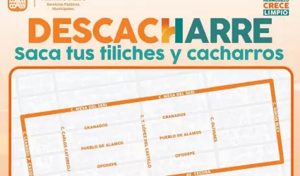Jornada de descacharre