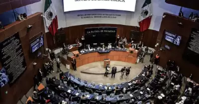 Senado