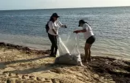 Retiran m�s de media tonelada de basura en Bah�a de Kino