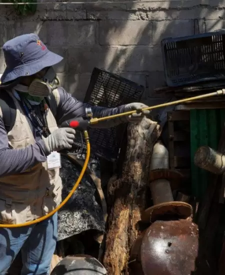 Dengue en Sonora