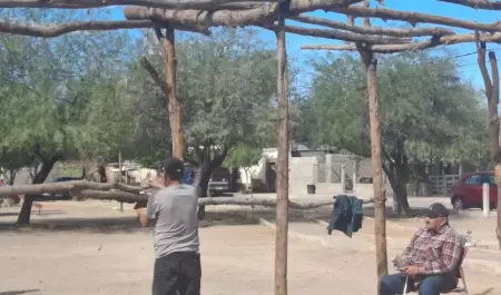 Yaquis de La Matanza inician construcci�n de su tradicional ramada