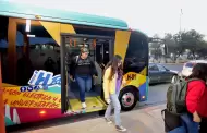 H Bus cumple un a�o con m�s de 100 mil traslados gratuitos y cero emisiones