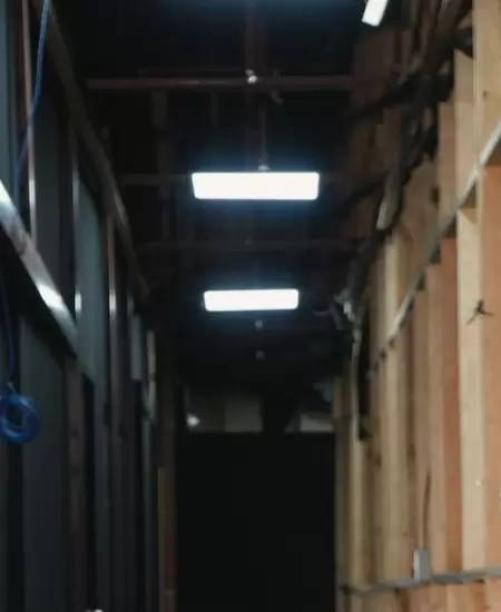 Wendy Guevara, Marie Claire Harp