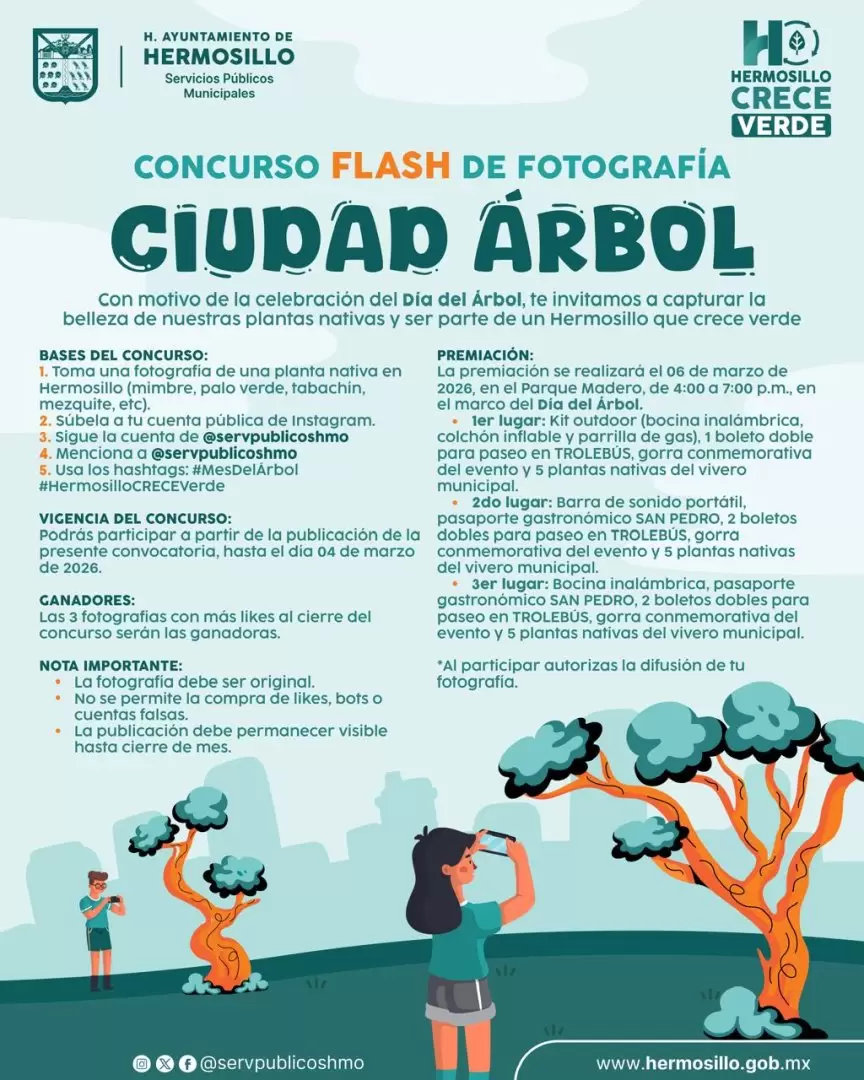 Ciudad �rbol