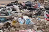 Existen 400 basureros clandestinos en Hermosillo