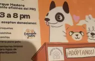 Invitan a feria de adopci�n de perros y gatos este 1 de marzo en el Parque Madero