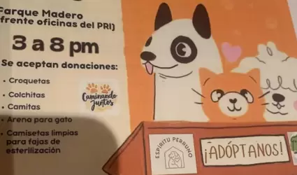 Feria de feria de adopci�n de perros y gatos