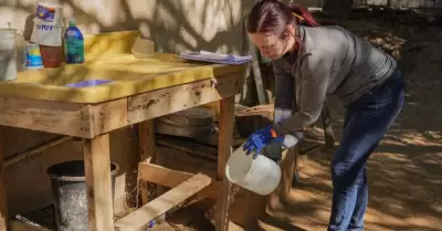 Prevenci�n del dengue