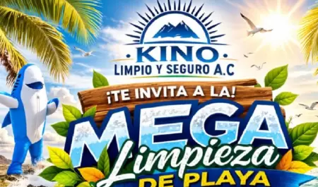 Kino Limpio y Seguro
