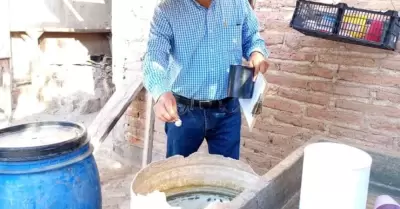 Criaderos de mosquitos