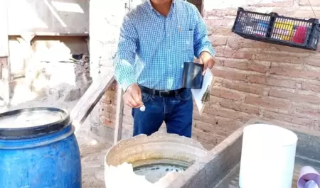 Criaderos de mosquitos