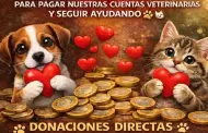 Patit�n 2026 busca 6 mil corazones para saldar deudas veterinarias