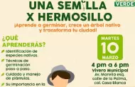 Invitan a talleres gratuitos para aprender a germinar y podar �rboles