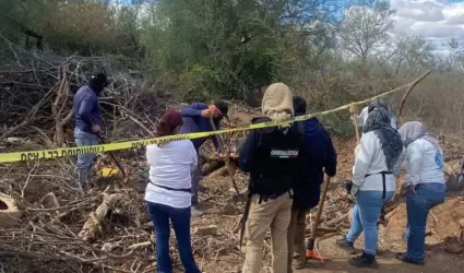 Hallan cuerpo de un hombre cubierto con ramas y le�a