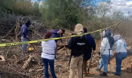 Hallan cuerpo de un hombre cubierto con ramas y le�a