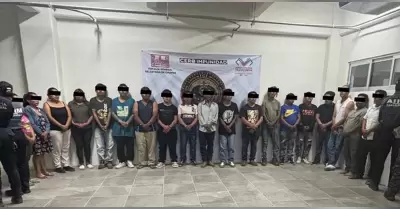 Detenidos en Chiapas por los delitos de ecocidio y asociaci�n delictuosa.