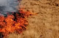 Aumentan 25% los incendios de maleza en Hermosillo