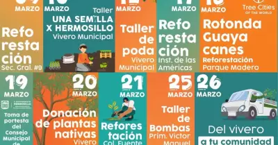 D�a del �rbol y del Arbolado Urbano