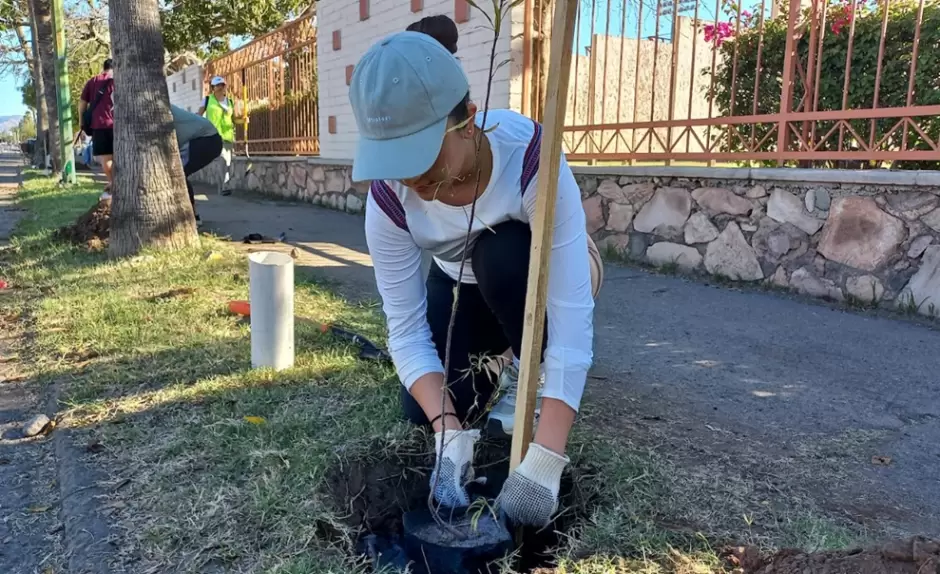 Plantan árboles nativos en la Unison