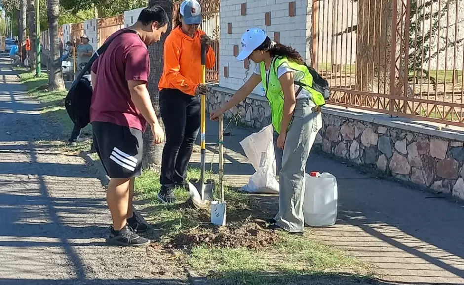 Plantan árboles nativos en la Unison