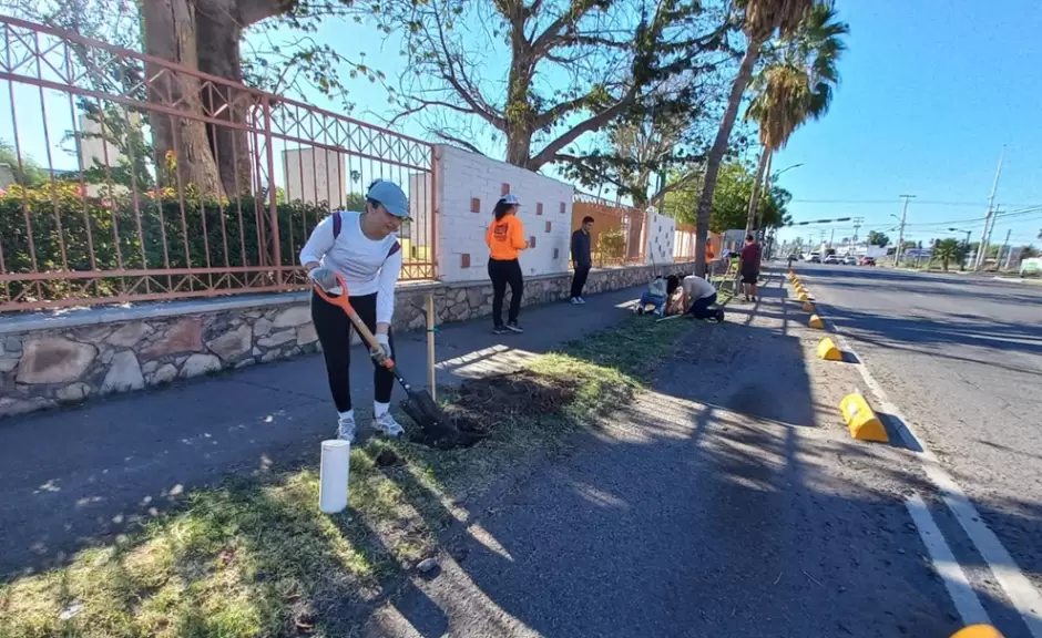 Plantan árboles nativos en la Unison