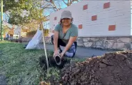 �M�s sombra para Hermosillo! Plantan �rboles nativos en la Unison