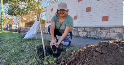 Plantan �rboles nativos en la Unison