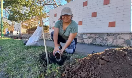 Plantan �rboles nativos en la Unison