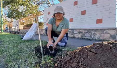 Plantan �rboles nativos en la Unison