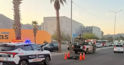 Muere persona atropellada frente a la Casa de la Cultura