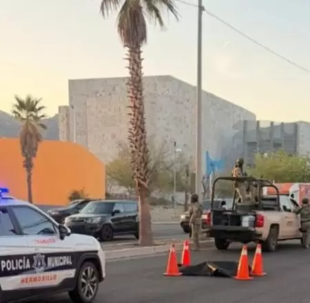 Muere persona atropellada frente a la Casa de la Cultura