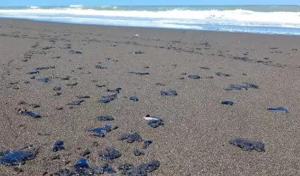 Derrame de petr�leo en el Golfo de M�xico