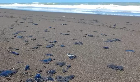 Derrame de petr�leo en el Golfo de M�xico