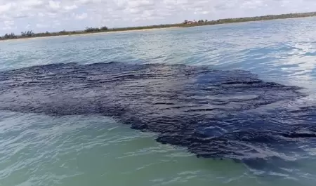 Derrame de petr�leo