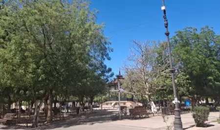 altas temperaturas, calor