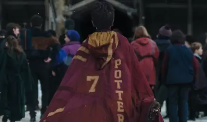 Dominic McLaughlin, Harry Potter